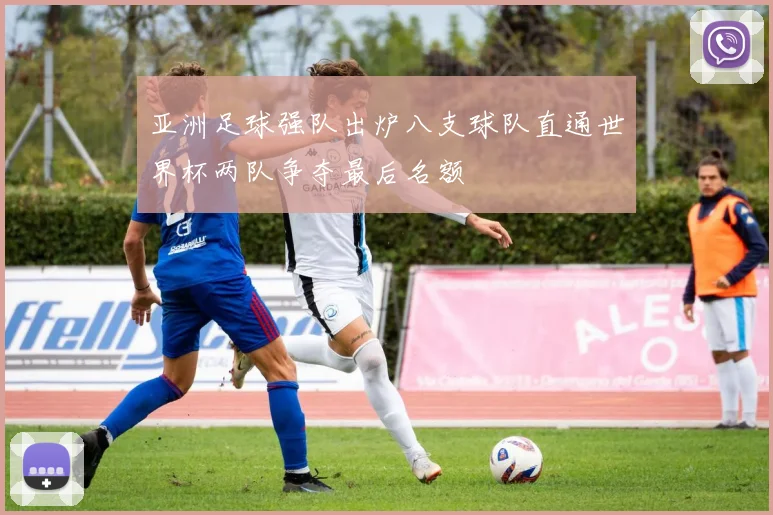 亚洲足球强队出炉八支球队直通世界杯两队争夺最后名额